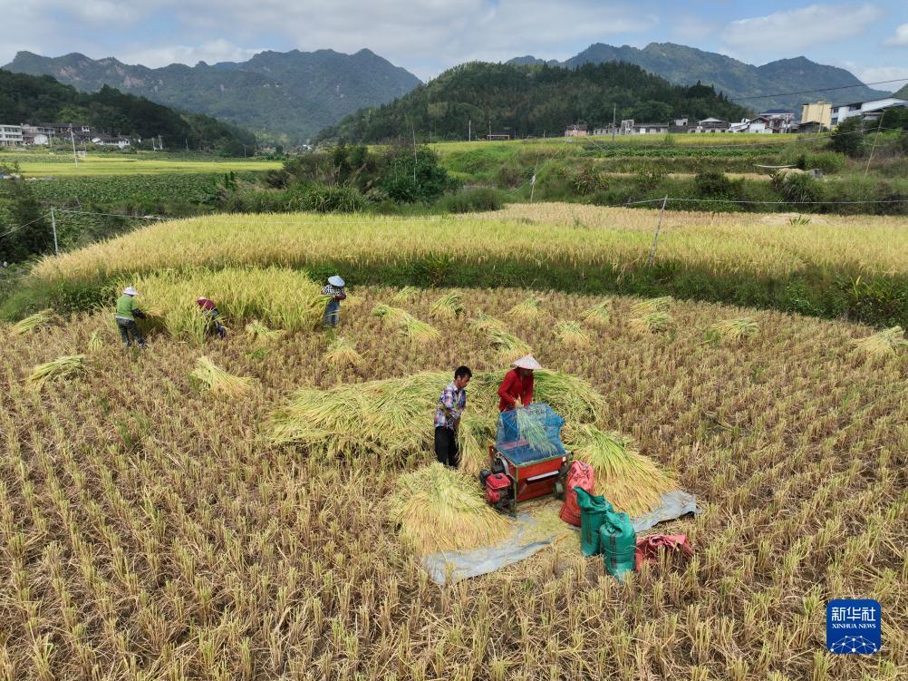 同升注册